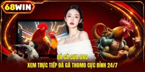 Đá Gà 68WIN - Live 4K Cực Nét, 500+ Trận Thư Hùng Mỗi Ngày