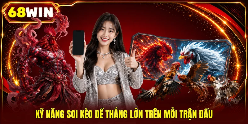 Đá Gà Cựa Dao | Xem Trực Tiếp Đá Gà Thomo Cực Đỉnh 24/7