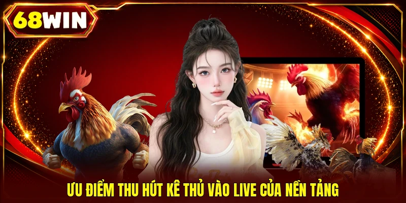 Đá Gà 68WIN - Live 4K Cực Nét, 500+ Trận Thư Hùng Mỗi Ngày